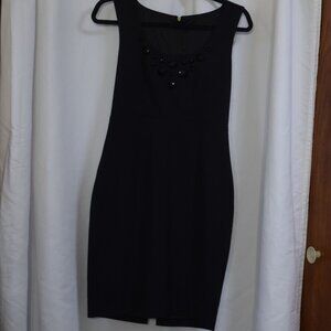 Express Design Studio black fitted dress.